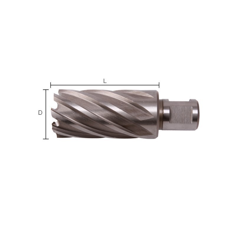 ROTEC FREZA HSS 32X55 WELDON